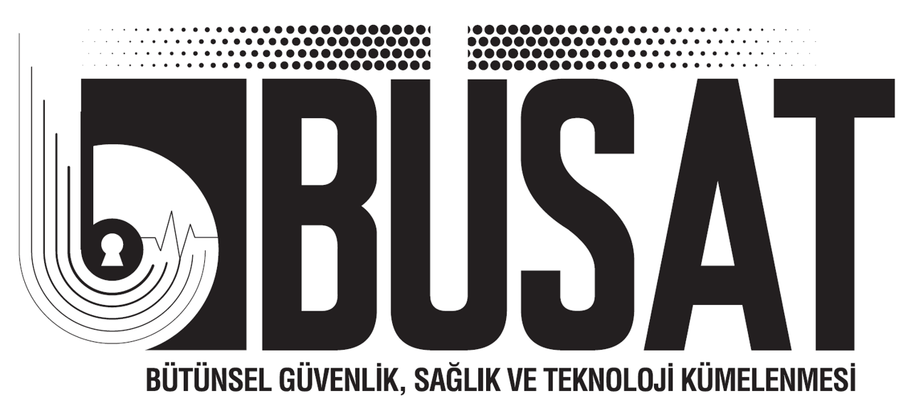 BUSAT1.png (129 KB)